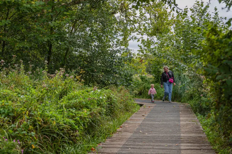 wandeling maastricht